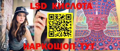 сатива Краснодар