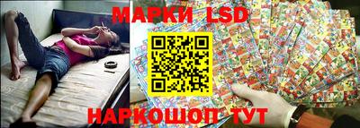 сатива Краснодар