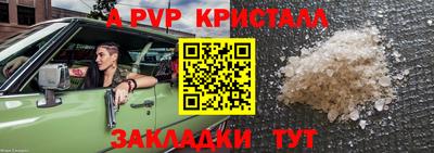крисы Краснознаменск