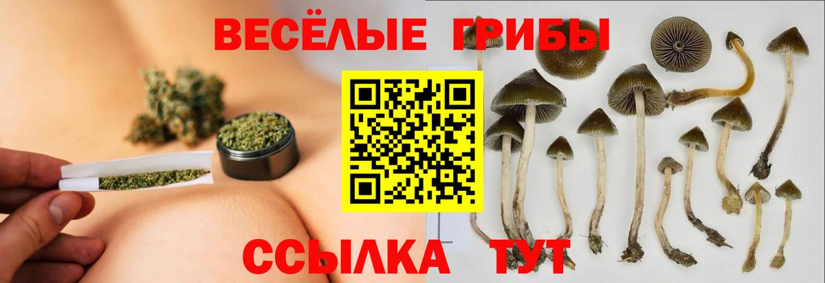 Псилоцибиновые грибы MAGIC MUSHROOMS Гатчина