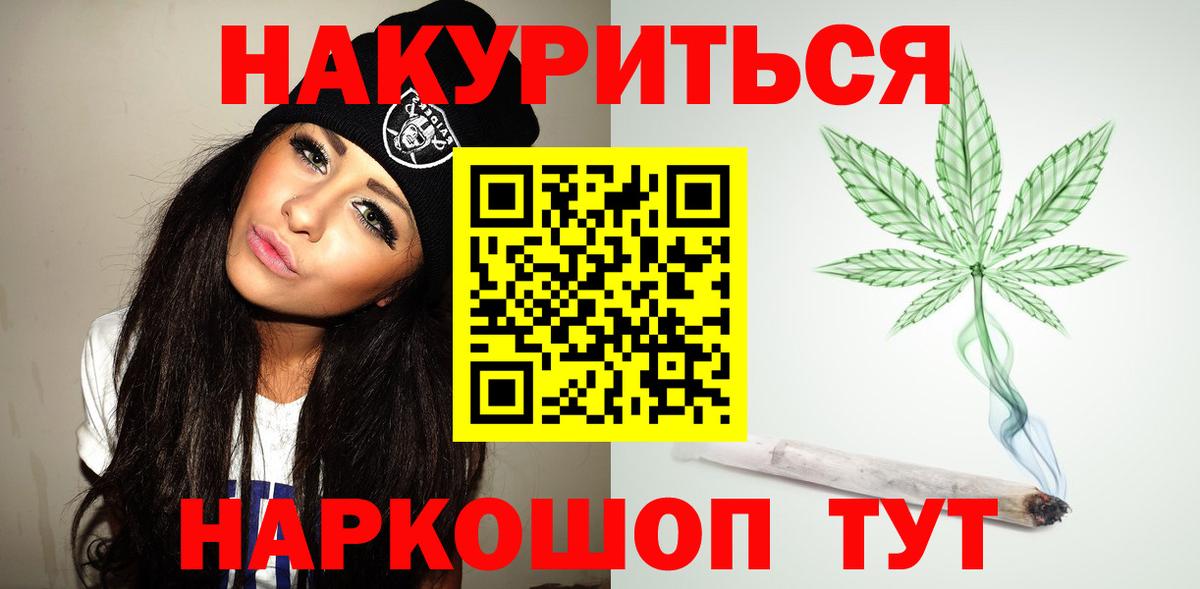 Конопля сатива Гатчина